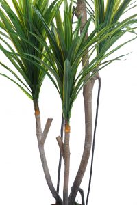 Yuca Artificial En Maceta 185cm Ancho 80cm - Imagen 3