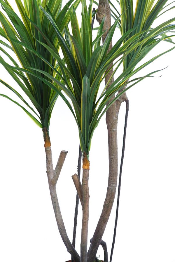 Yuca-Artificial-En-Maceta-185-cm-Ancho-80-cm-3 Yuca Artificial En Maceta 185cm Ancho 80cm - Imagen 3