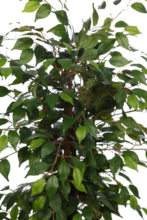 Árbol De Ficus Artificial 150cm - Imagen 2
