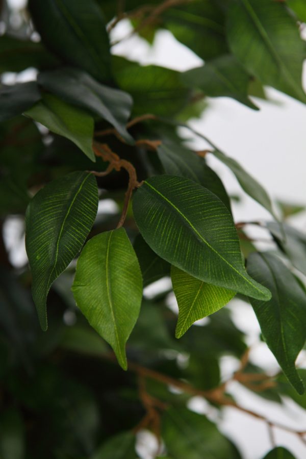 Árbol De Ficus Artificial 150cm - Imagen 3