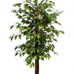 Árbol De Ficus Artificial 150cm