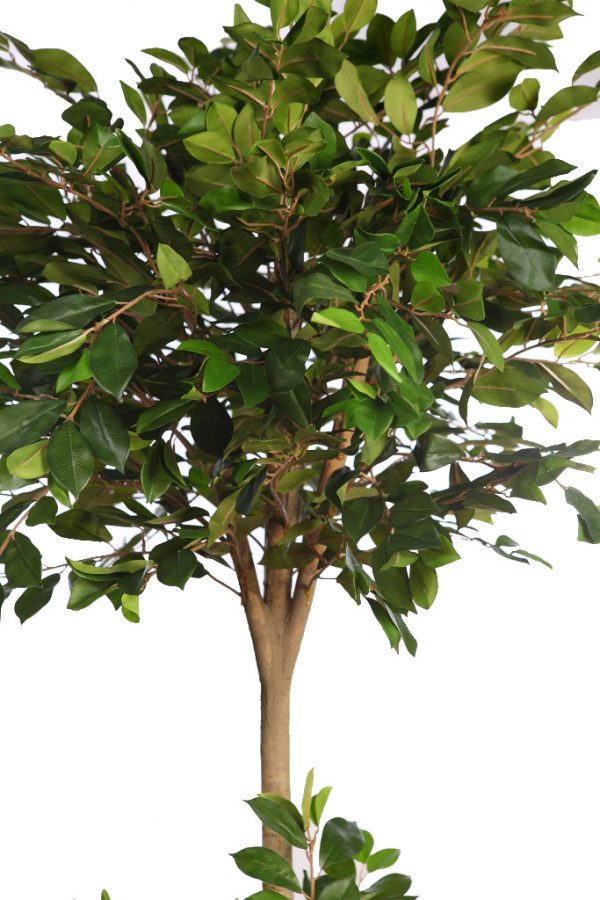 arbol-De-Ficus-Retusa-En-Maceta-Artificial-180-cm-2 ARBOL DE FICUS RETUSA EN MACETA ARTIFICIAL 180CM - Imagen 2