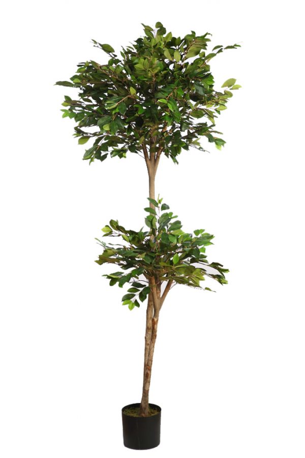 arbol-De-Ficus-Retusa-En-Maceta-Artificial-180-cm ARBOL DE FICUS RETUSA EN MACETA ARTIFICIAL 180CM - Imagen 1