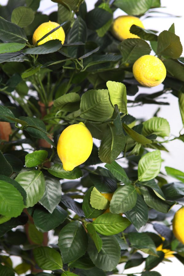Árbol De Limonero Artificial En Maceta 120cm - Imagen 2