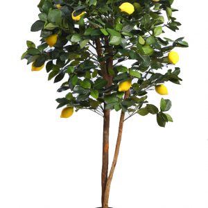 Árbol De Limonero Artificial En Maceta 120cm