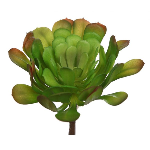 planta-cactus-18-cm PLANTA CACTUS 18CM - Imagen 1
