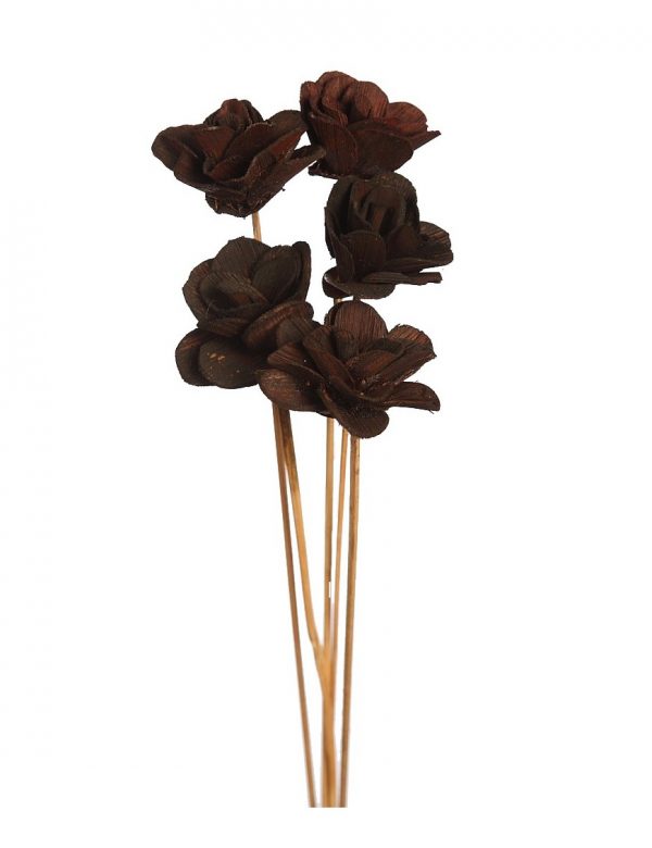 betel-rose-8cm-5ud-60cm-marron Betel Rose Ø8Cm 5Ud 60Cm - Imagen 1
