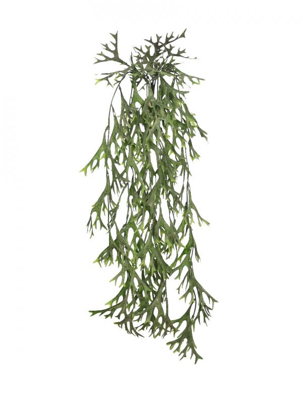 Colgante Cuerno De Alce 80Cm - Imagen 1