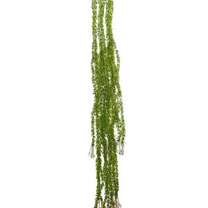 Colgante Enredadera Sedum Burrito 120Cm