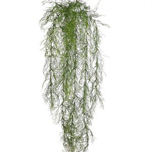 Colgante Esparraguera 82Cm