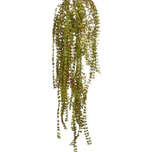 Colgante Eucalipto 100Cm