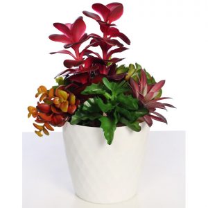 Composicion Echeverias Y Crasas Artificial 30Cm