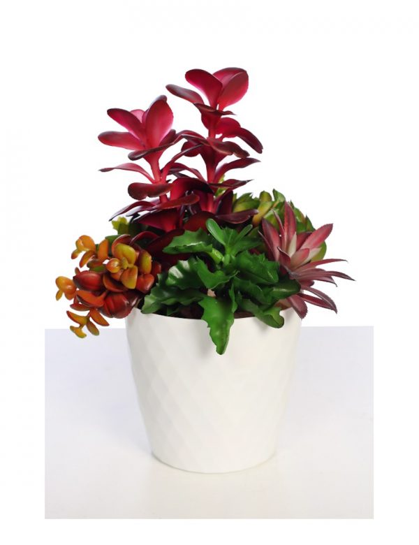 composicion-echeverias-y-crasas-artificial-30cm Composicion Echeverias Y Crasas Artificial 30Cm - Imagen 1