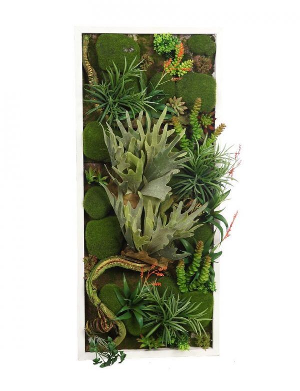 cuadro-vegetal-80x35cm Cuadro Vegetal 120X30Cm - Imagen 1