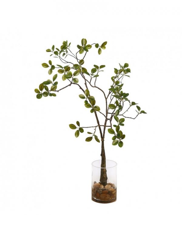 ficus-microcarpa-raices-70cm-vaso Ficus Microcarpa Raices 70Cm Vaso - Imagen 1