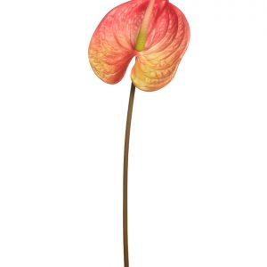 Flor Anturio Artificial 64Cm