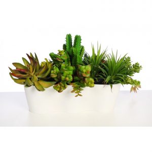 Jardinera Cactus Y Crasas Artificial 25Cm