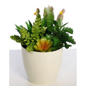Maceta Cactus Y Crasas Artificial 23Cm