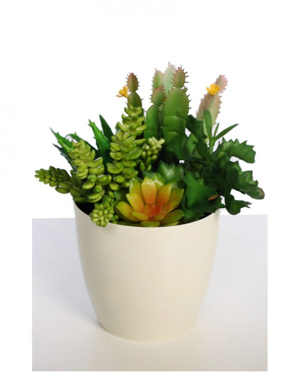 maceta-cactus-y-crasas-artificial-23cm Maceta Cactus Y Crasas Artificial 23Cm - Imagen 1