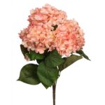 Flor Hortensia