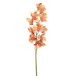 Flor Orquidea Cymbidium 105cm