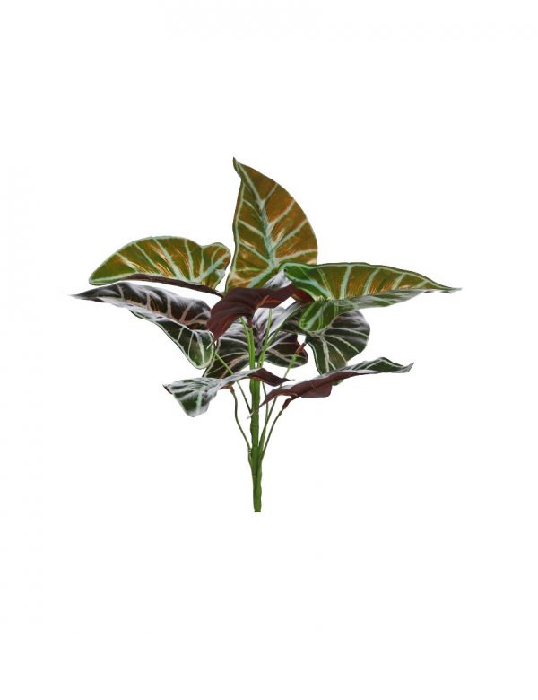 planta-alocasia-artificial-40cm-verde-oscuro Planta Alocasia Artificial 40Cm - Imagen 1