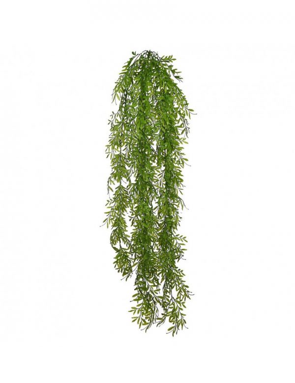 planta-colgante-helechosa-120cm Planta Colgante Helechosa 120Cm - Imagen 1