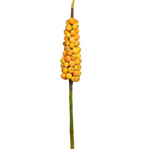 Racimo Frutal Gigante 144Cm