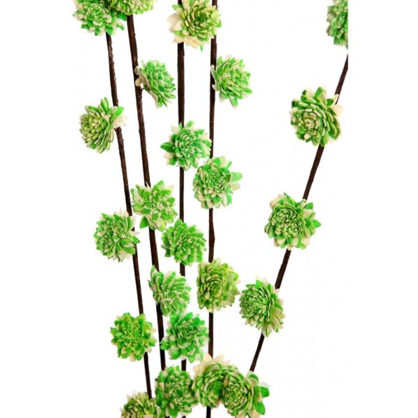 Flor Sola Rud Stick Dragon