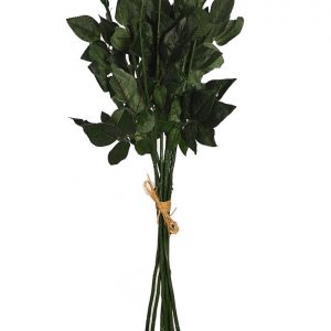 TALLOS DE ROSA X12 60CM