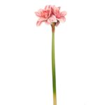 Flor Artificial Vara Amarilis Tacto Natural
