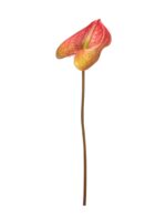 Flor Artificial Vara Anturio 60cm