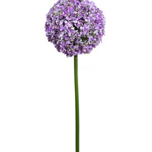 Vara Buddleia  Alium Artificial 75Cm