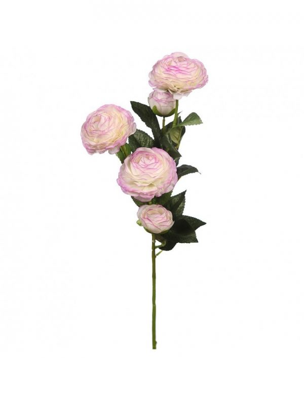 vara-de-ranuculo-73cm-morado Vara De Ranuculo 73Cm - Imagen 1