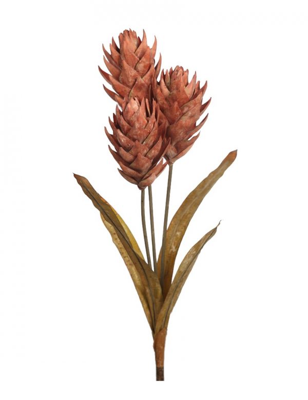 vara-guzmania-vintage-74cm-rosa Vara Guzmania Vintage 74Cm - Imagen 1