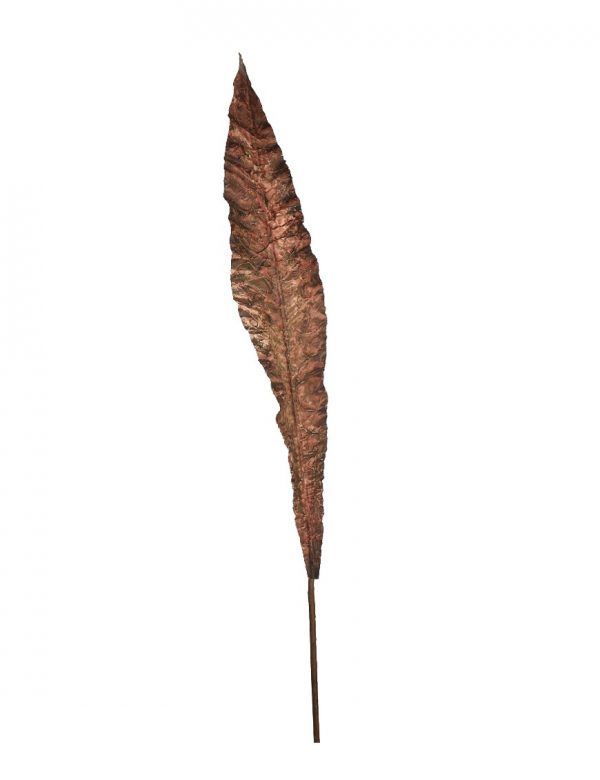 vara-hoja-vintage-103cm-marron Vara Hoja Vintage 103Cm - Imagen 1