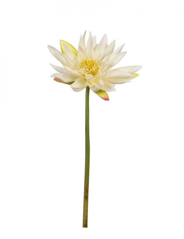 vara-lotus-alt-60-cm Vara Lotus, Alt. 60 Cm - Imagen 1