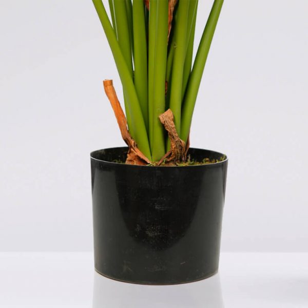 colocasia-artificial-en-maceta-100cm-3 Planta Colocasia Artificial en Maceta 100cm