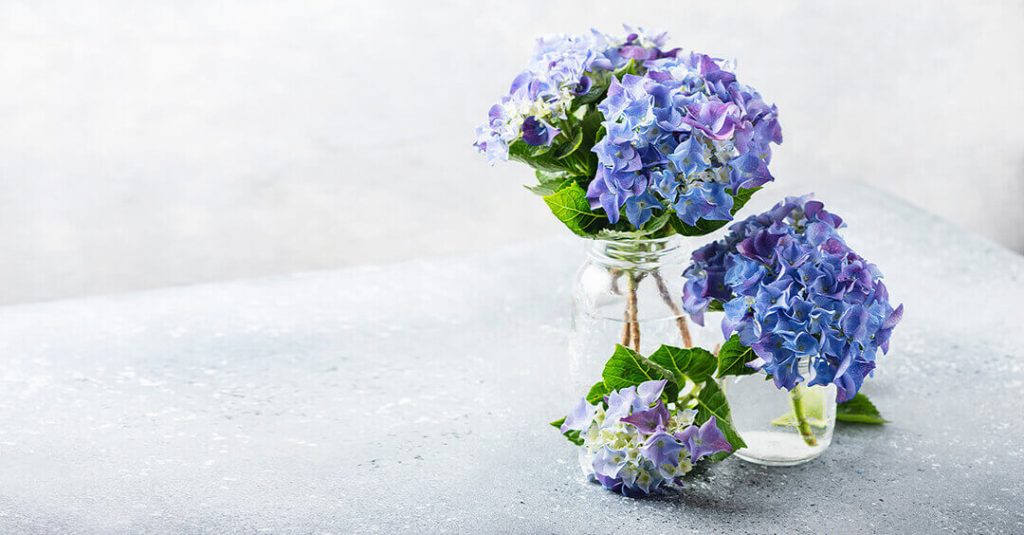 hortensias artificiales