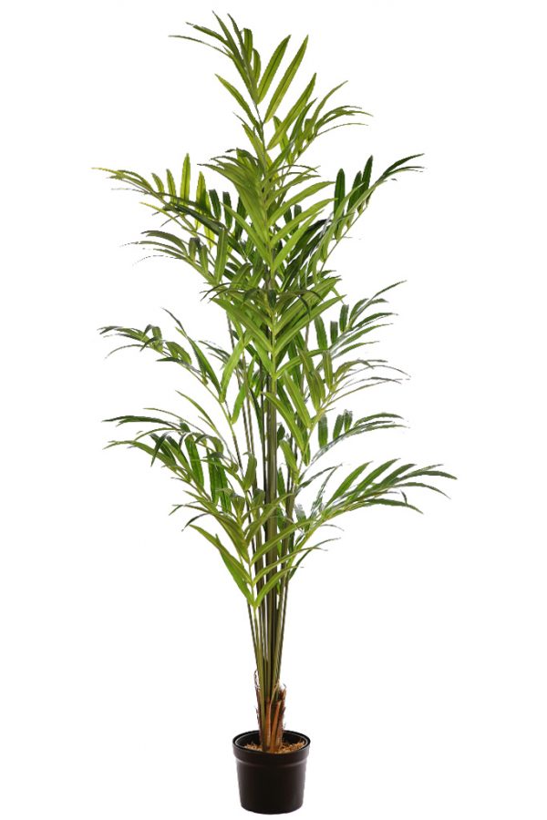 kentia artificial 230 cm kentia artificial 230 cm