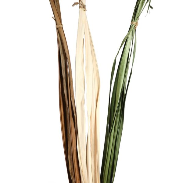 04011.01_0 HOJAS DE BURI SECO 180CM - Imagen 1