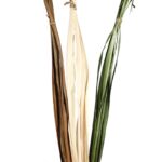 HOJAS DE BURI SECO 180CM - Imagen 3