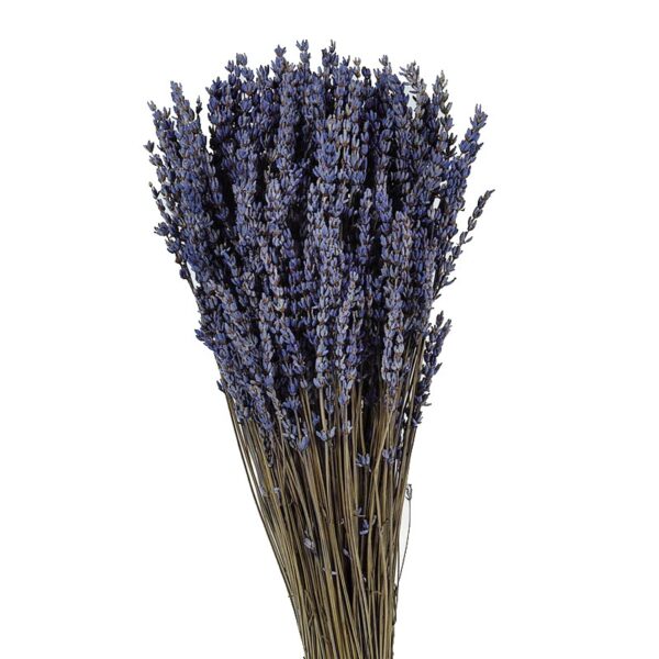 LAVANDA PRESERVADA 150GR - Imagen 1