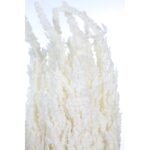 POMO DE AMARANTHUS PRESERVADO 40CM - Imagen 2