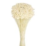 POMO AMARELINHO 45CM