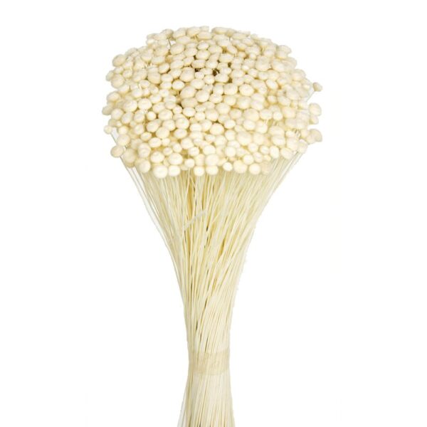 POMO AMARELINHO 45CM - Imagen 1