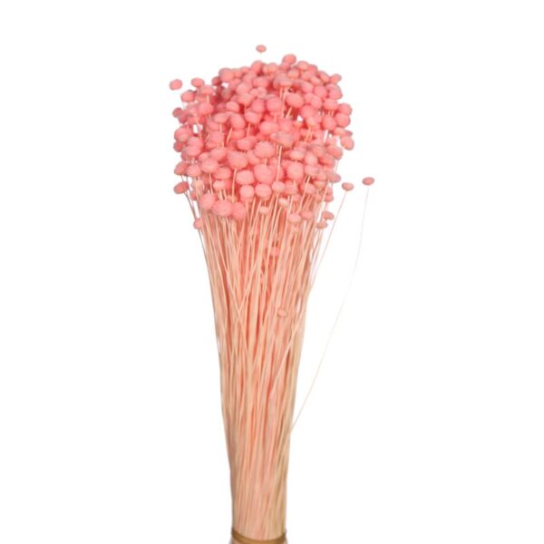 POMO AMARELINHO 45CM - Imagen 2