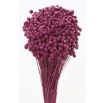 POMO AMARELINHO 45CM - Imagen 3