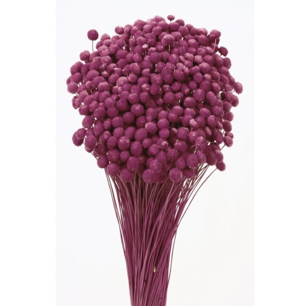 POMO AMARELINHO 45CM - Imagen 3