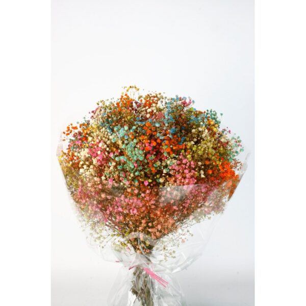 0AC-442.02_0 MAZO PANICULATA SURTIDA 30/50CM - Imagen 1